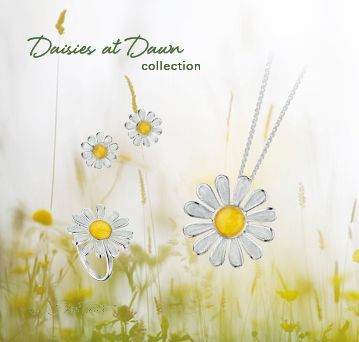 Daisies at Dawn Retail Prices